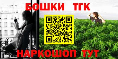 дмт Шелехов