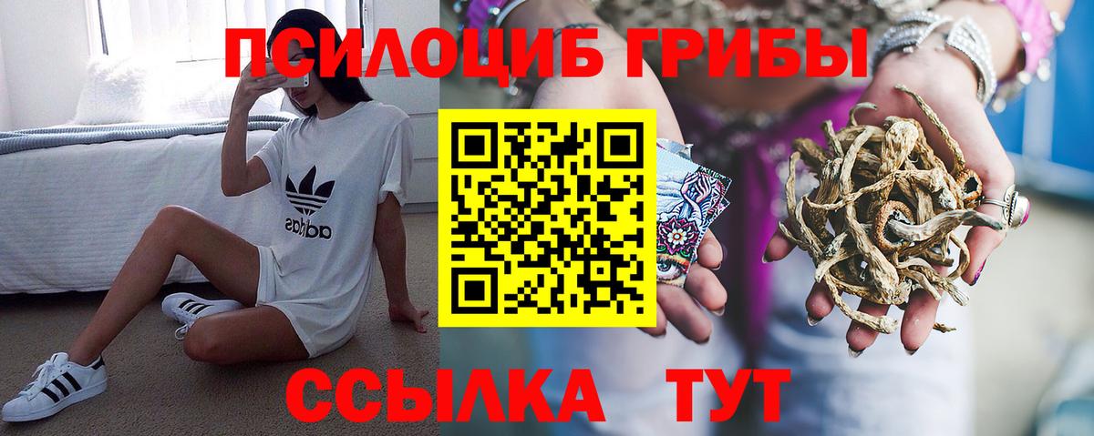 Галлюциногенные грибы Magic Shrooms  Псилоцибиновые грибы Magic Shrooms  Назарово  Вход с VPN 