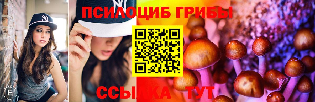 Галлюциногенные грибы MAGIC MUSHROOMS Назарово